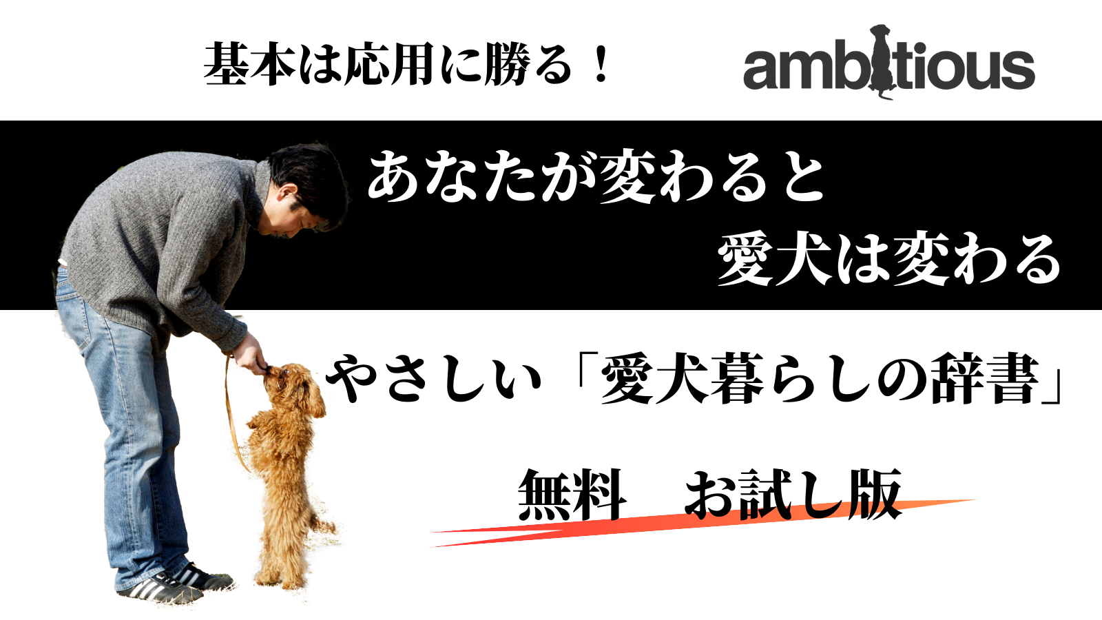 やさしい「愛犬暮らしの辞書」　お試しカリキュラム　