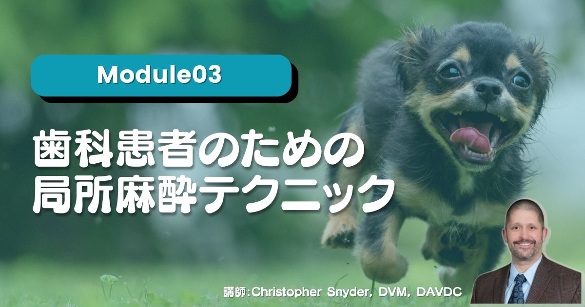 Module03 ⻭科患者のための局所麻酔テクニック