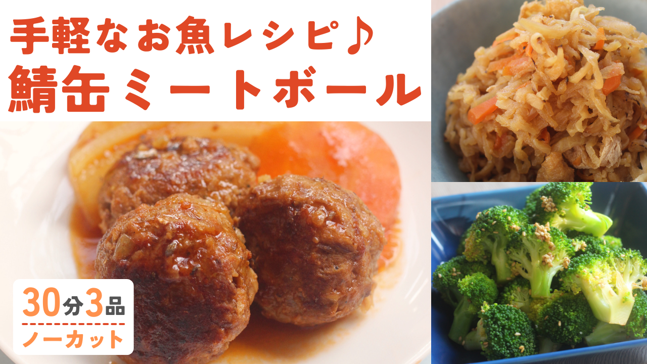 【レシピ/手順書付き】鯖缶ミートボール ・メープル風味の切り干し大根 ・ブロッコリーの胡麻和え
