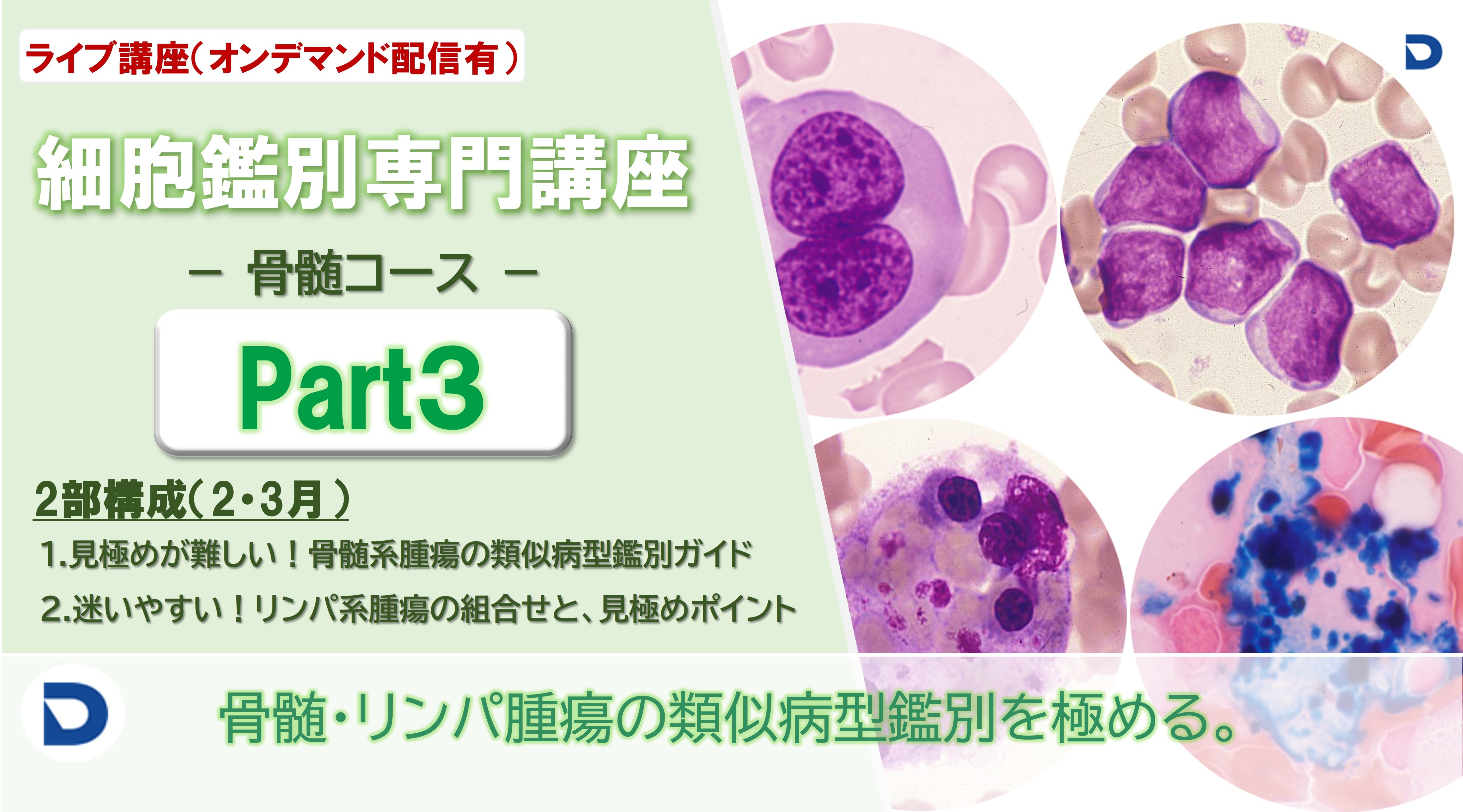 細胞鑑別専門講座：骨髄Part3（全2回）