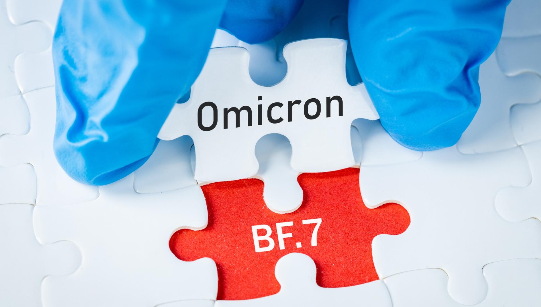 中国新冠病毒变种，omicron bf 7拼图