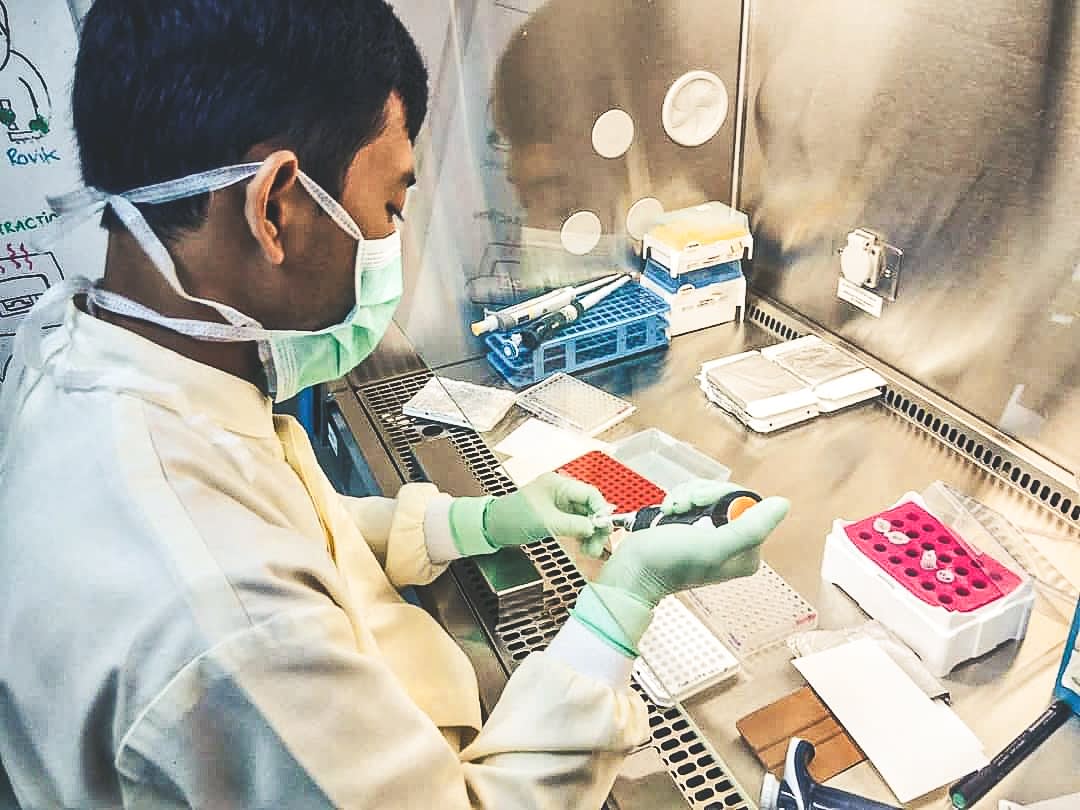 Mosquito samples being tested in a laboratory.