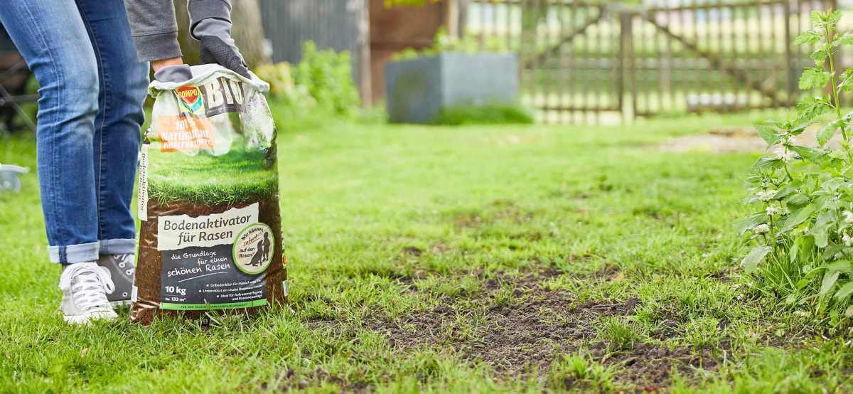 Ausbringung des COMPO BIO Bodenaktivator für Rasen im Frühjahr