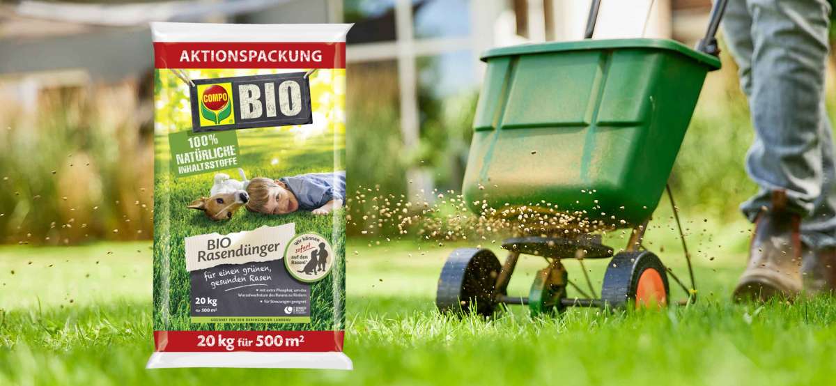 Rasen düngen mit Streuwagen, im Vordergrund COMPO BIO Rasendünger Aktion