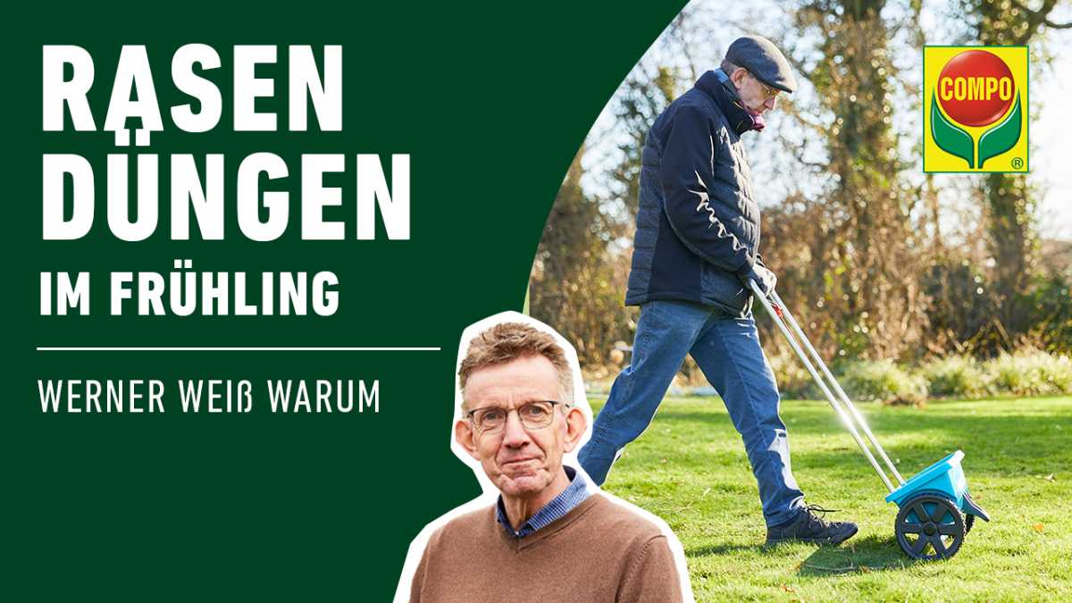 Rasen düngen im Frühling Rasen düngen im Frühling