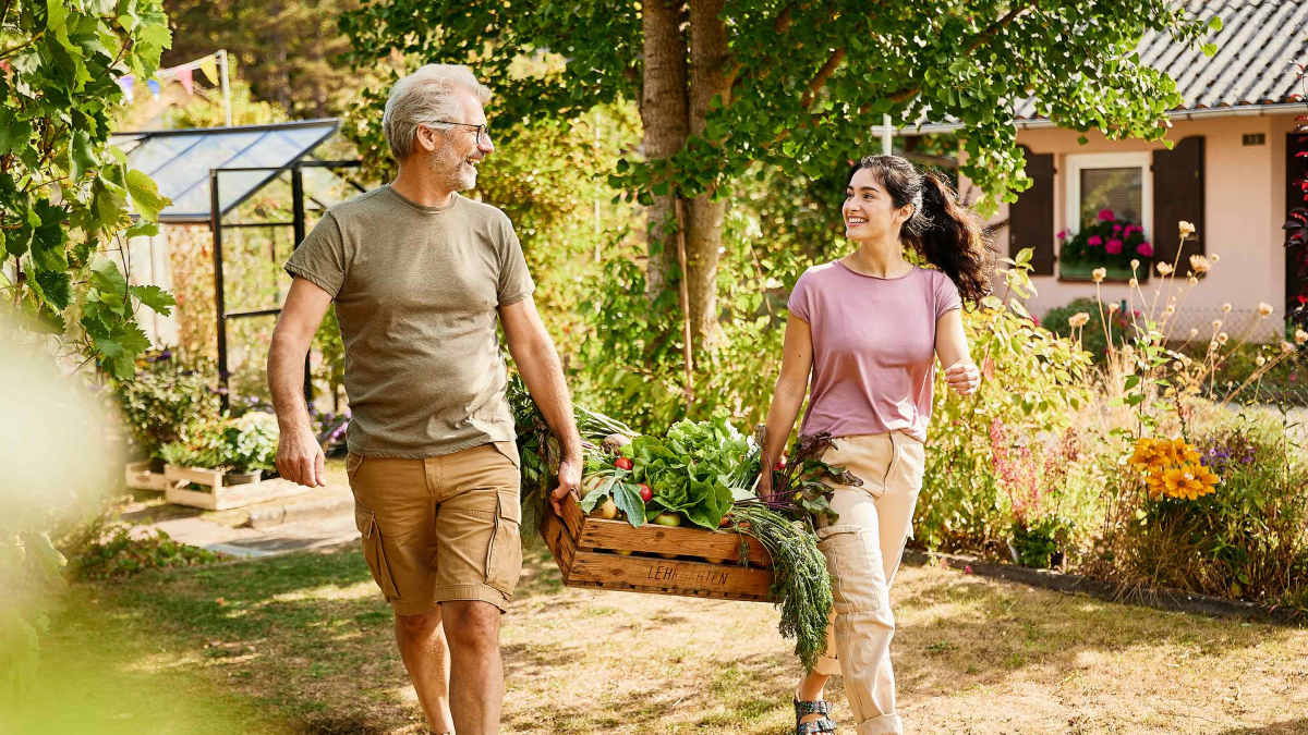 Mann und Frau tragen Kiste mit geerntetem Gemüse im Kleingarten