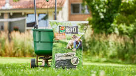Streuwagen und COMPO BIO Rasendünger stehen auf dem Rasen