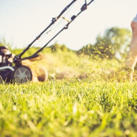 lawn care mowing