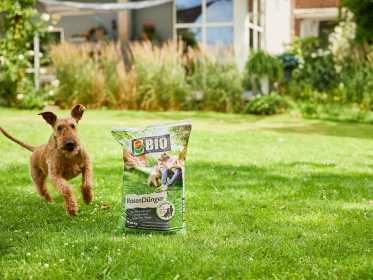 Ein Beutel COMPO BIO Rasendünger steht auf dem Rasen neben einem Hund