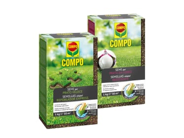 compo image