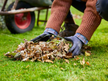 Garten winterfest machen