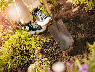 Eine Schaufel wird in die Erde gesteckt.