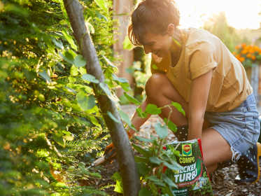 Frau düngt Hecke mit COMPO Heckenturbo