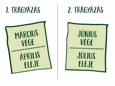 compo image
