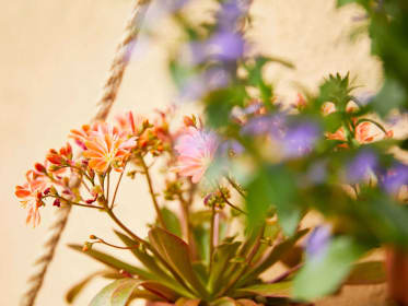 mediterranean balcony