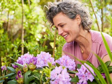Frau erfreut sich an violetten Rhododendronblüten