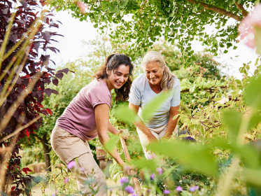Zwei Frauen arbeiten zusammen in einem Beet