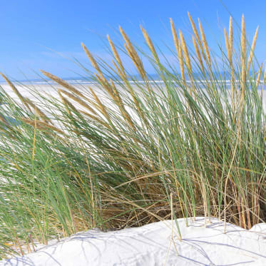 irrigazione-vacanza-spiaggia