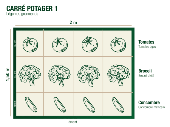 compo image