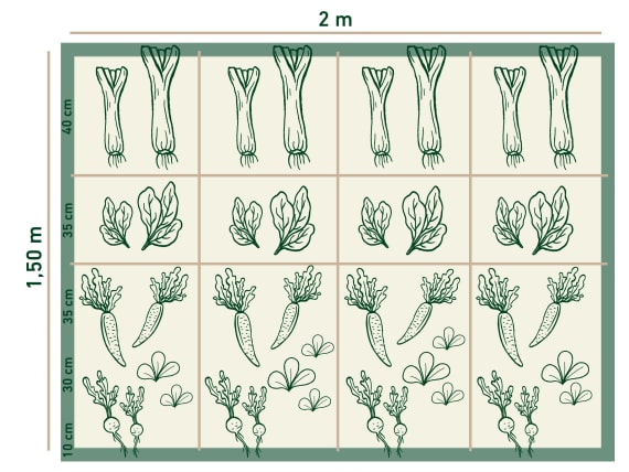 How to plant a raised bed