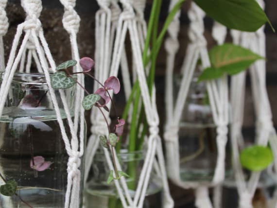 macrame for cuttings