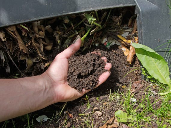 compost