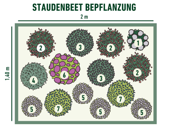 Staudenbeet