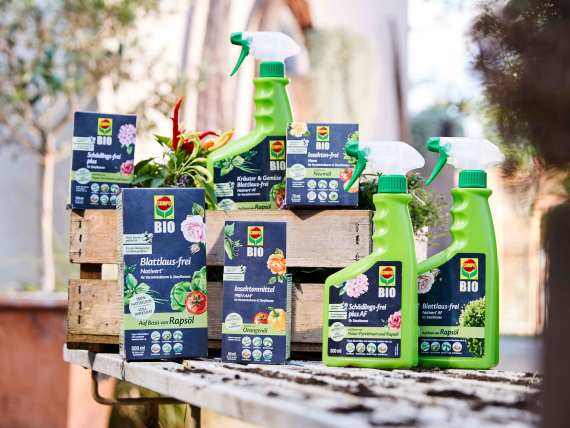 Pflanzenschutzmittel Pflanzenschutzmittel