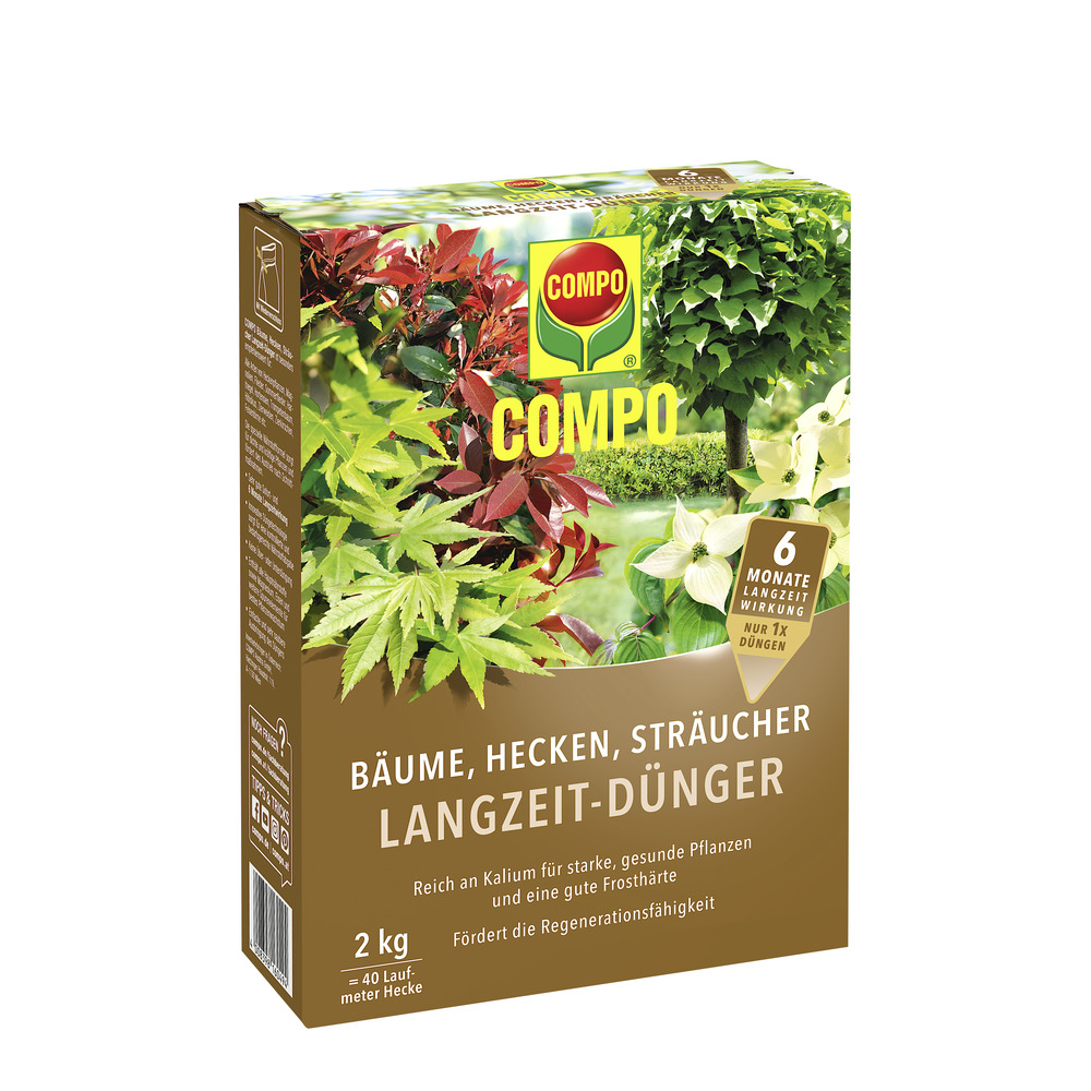compo image