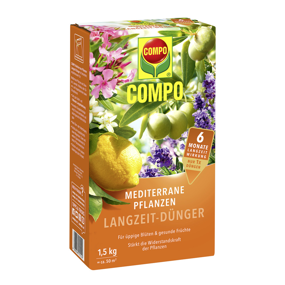 compo image