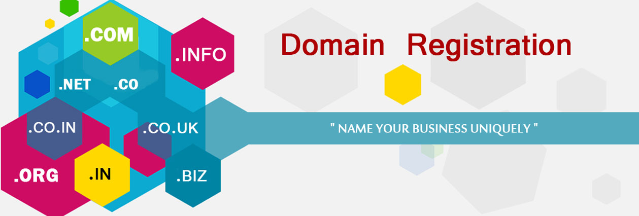Domain Registration
