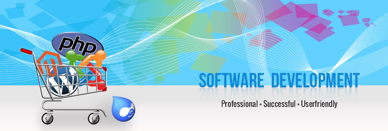 Software Development
