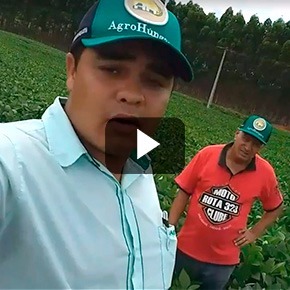 DEPOIMENTO DE CLIENTE SOBRE LAVOURA