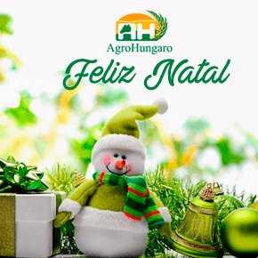 Feliz Natal