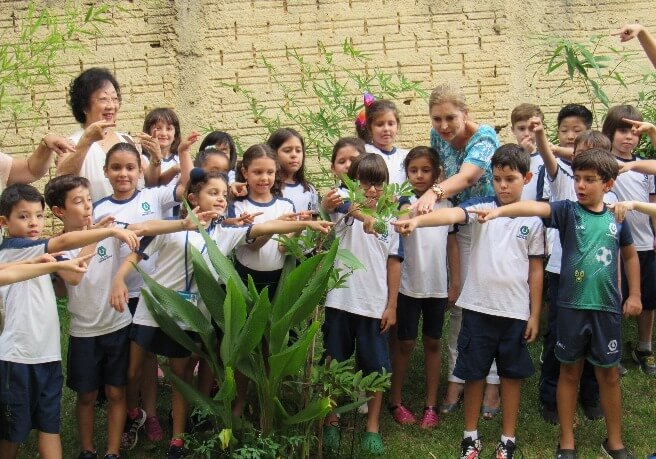 Árvore plantada pelos alunos já está dando frutos Árvore plantada pelos alunos já está dando frutos