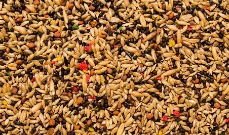 CANARIO COM MEL - 500g / 10kg