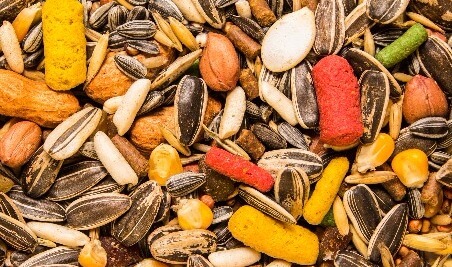 PAPAGAIO - 500g / 10kg