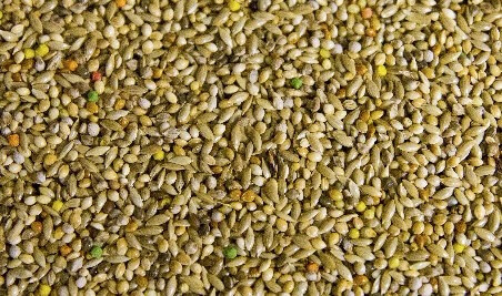 COLEIRO - 500g / 5kg