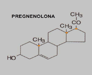 Pregnenolona um potente Neurohormônio Cerebral esquecido no tempo