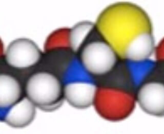 Ortomolecular: Glutation uma substância essencial para nossa defesa celular
