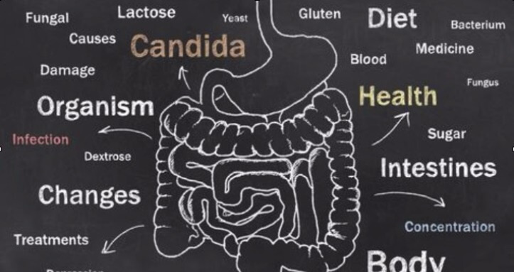 Tratamento Ortomolecular da Candidíase
