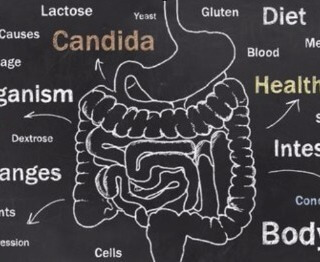 Tratamento Ortomolecular da Candidíase