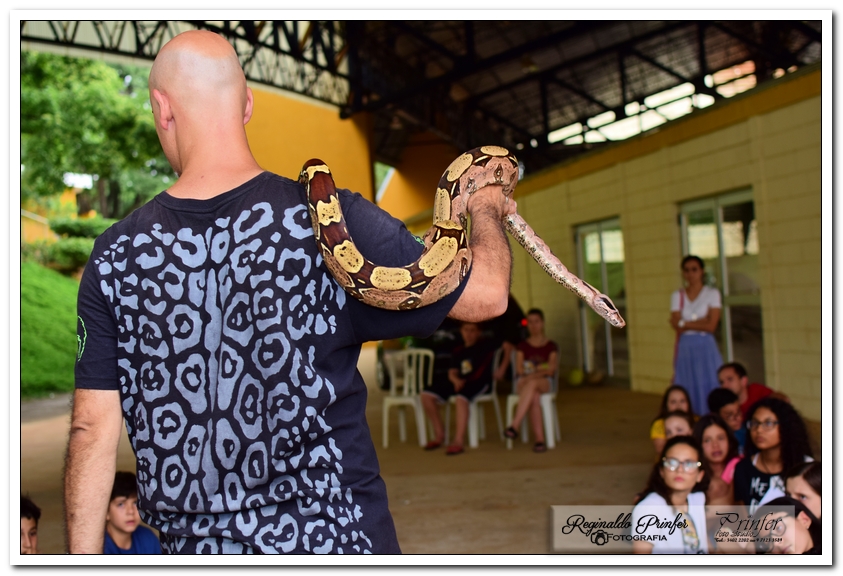 FILHOS NO ENCONTRÃO
