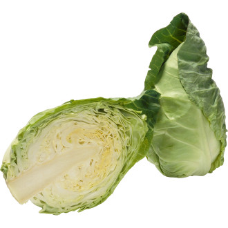 Spetskål