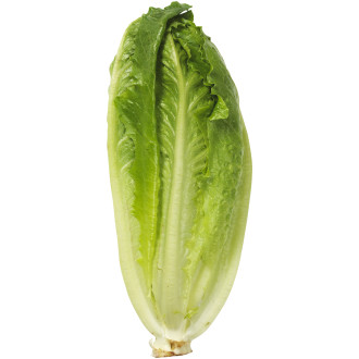 Romansallad
