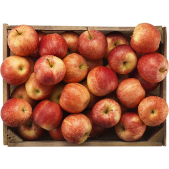 Äpple Röda EKO