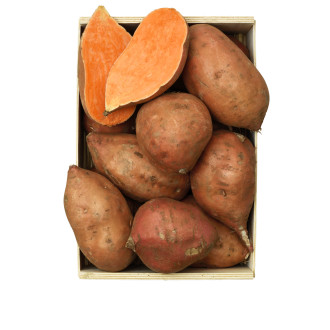 Sötpotatis Eko
