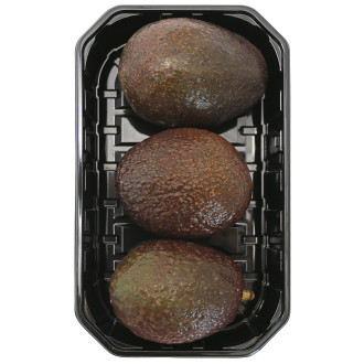 Avocado Ätmogen 3-pack