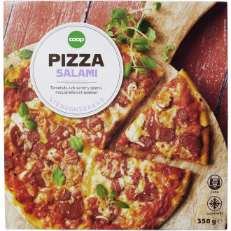 Pizza Salami