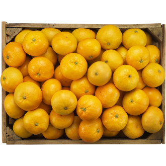 Satsumas
